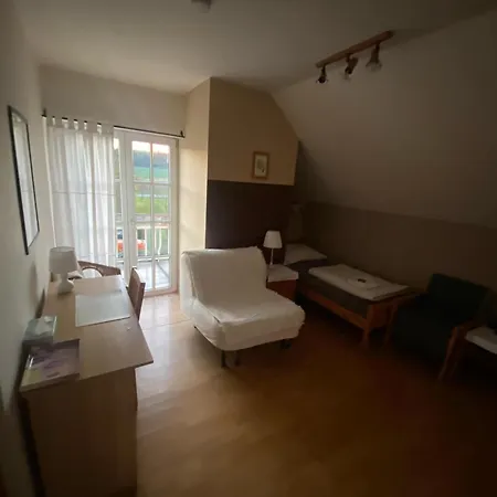בית הארחה Cerveny Mlyn 3*