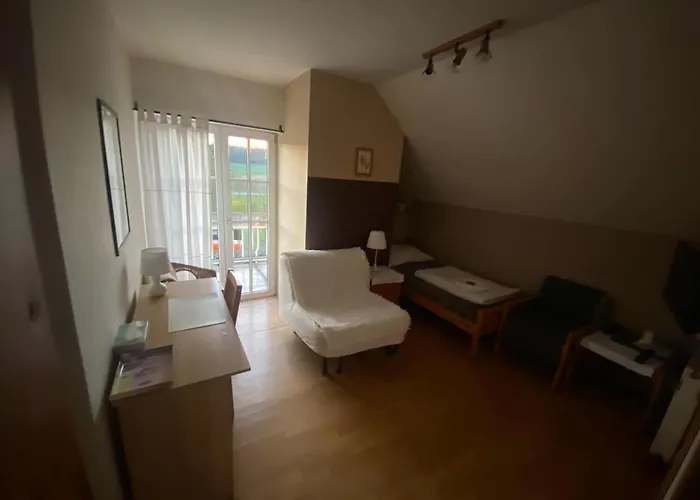 Guest house Cerveny Mlyn 3*